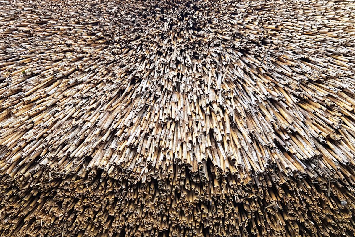 Kamış Kirpi Çatı | Doğal ve Egzotik