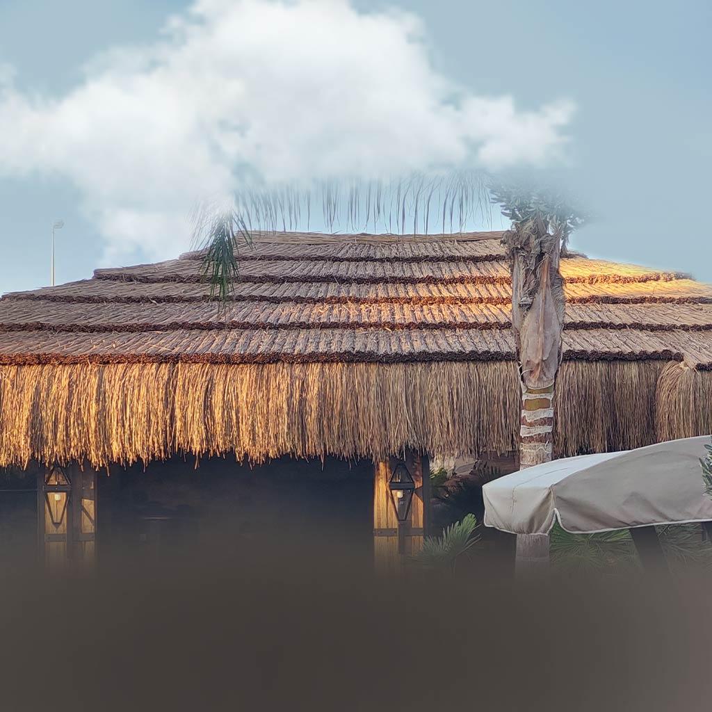 Anadolu’nun Doğal Mirası: Saz Çatı Sistemleri